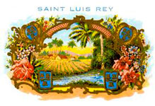 Saint Luis Rey Regios