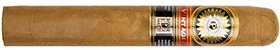 Perdomo Double Aged 12 Year Vintage Gordo Connecticut