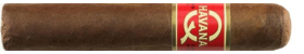 Havana Q Double Robusto