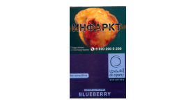 Кальянный табак Al Ajami Bluberry 50 гр.