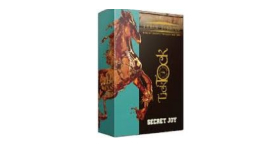 Кальянный табак Tick Tock Secret Joy 100 гр.