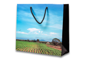 Пакет подарочный "Vega de tabaco" на 25 сигар