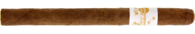 Principle Accomplice Classic White Band Lancero