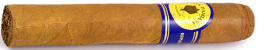 Santa Damiana Robusto