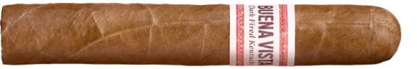 Сигары Buena Vista Dark Fired Kentucky Robusto