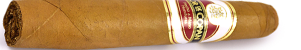 Сигары Flor de Copan Gordito