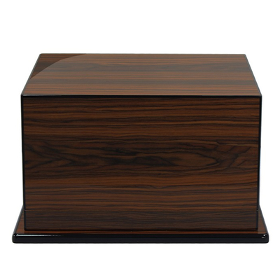 Хьюмидор Aficionado Elevate Rio Rosewood