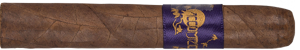 Сигары Principle Accomplice Corojo Purple Band Robusto 