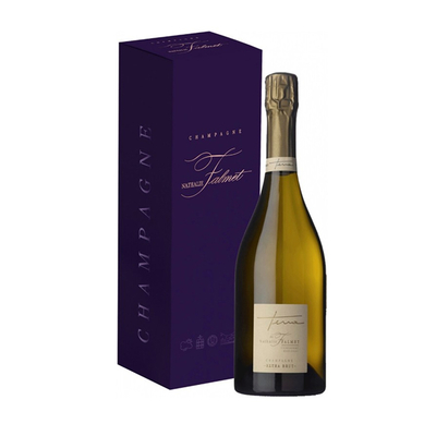Шампанское Terra de Nathalie Falmet Extra Brut, Champagne AOC, 0,75 л.